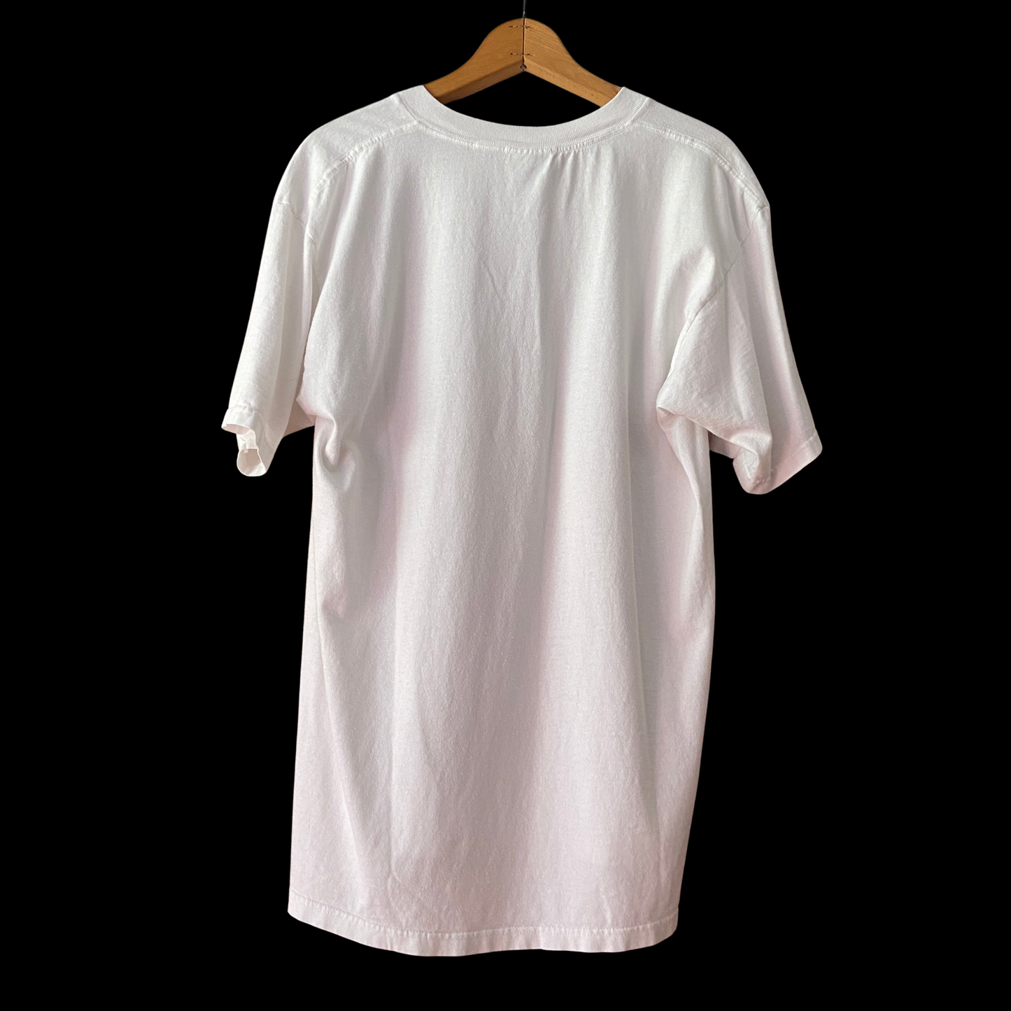 1990s Dalkey Press Archive Tee Shirt Huxley Stein