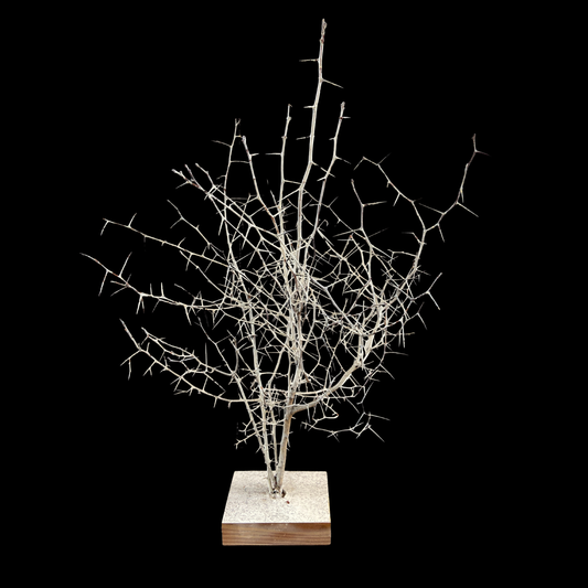 1940s Folk Art Thorn Sculpture
