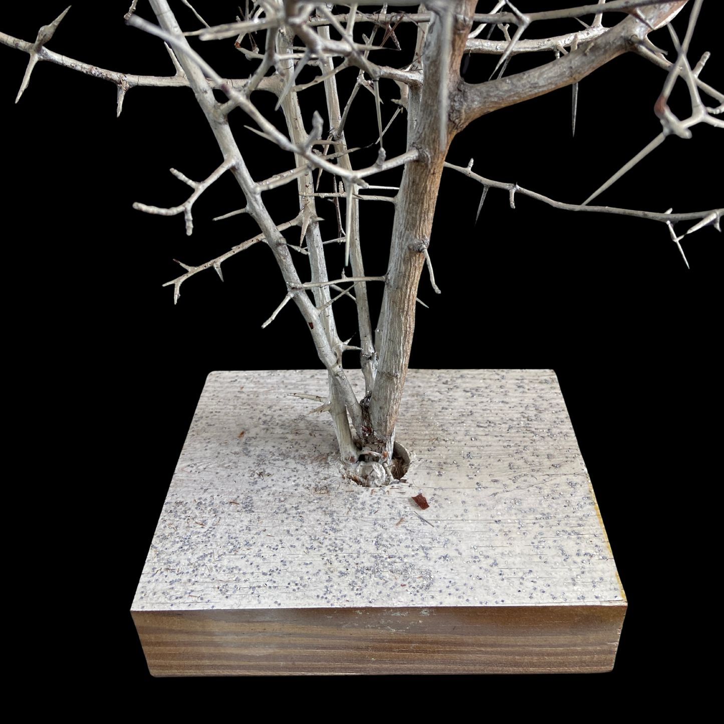 1940s Folk Art Thorn Sculpture