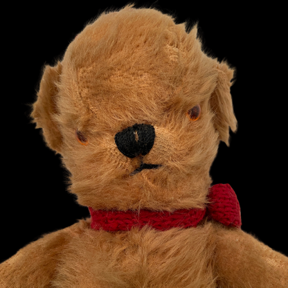 1950s Mohair Teddy Bear Toffee Farnell Listen with Mother BBC